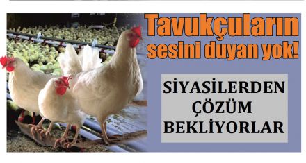 Tavukçular iflasta yetkililerin umurunda değil 