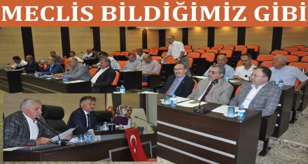 Meclis bildiğimiz gibi!