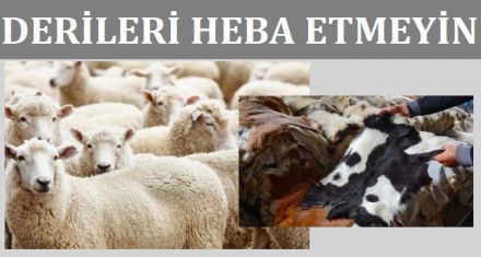 Kurban derilerinde nelere dikkat edilmeli