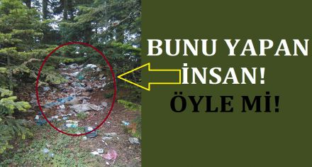 Yaylalar çöplük oldu