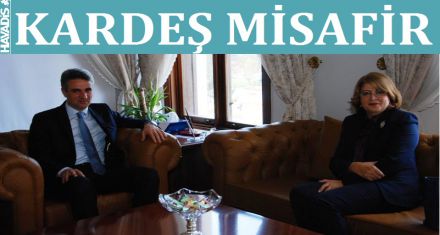 Kardeş misafir