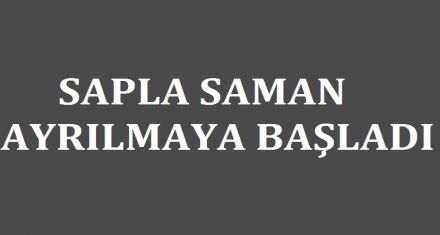 SAPLA SAMAN AYRILMAYA BAŞLADI 