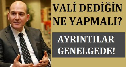 VALİ DEDİĞİN NE YAPMALI? 