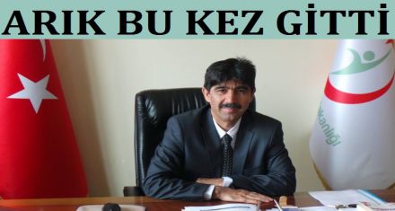 ARIK BU KEZ GİTTİ