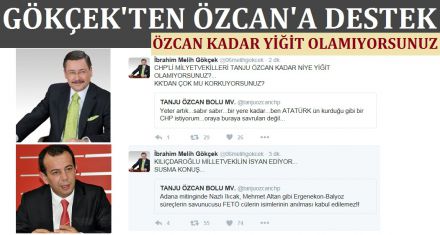 GÖKÇEK TEN ÖZCAN A DESTEK