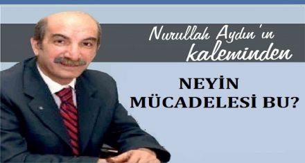 NEYİN MÜCADELESİ BU?