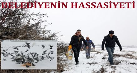 Belediyenin hassasiyeti