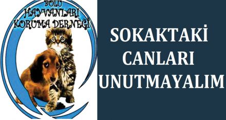 SOKAKTAKİ CAN LARI UNUTMAYALIM 