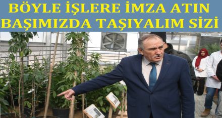 TOHUMLARA SAHİP ÇIKILIYOR 