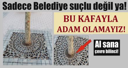 Sadece Belediye suçlu değil ya!