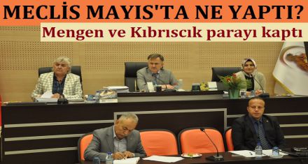 Meclis Mayıs'ta ne yaptı?