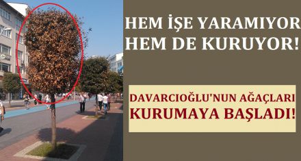 HEM İŞE YARAMIYOR HEM DE KURUYOR!