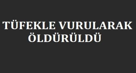 TÜFEKLE VURULARAK ÖLDÜRÜLDÜ 