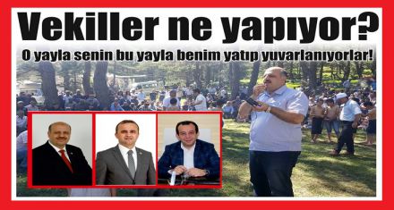 Vekiller ne yapıyor?