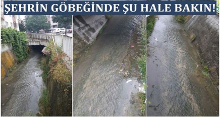 ŞEHRİN GÖBEĞİNDE ŞU HALE BAKIN!