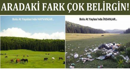 Aradaki fark çok belirgin!