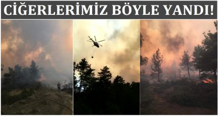CİĞERLERİMİZ YANDI 
