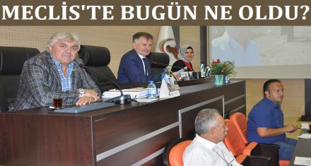 MECLİS'TE BUGÜN NE OLDU?