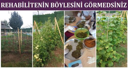 REHABİLİTENİN BÖYLESİNİ GÖRMEDİZ!