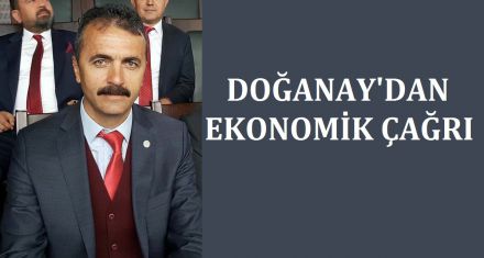 Doğanay'dan ekonomik çağrı 
