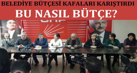 BU NASIL BÜTÇE?