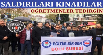 SALDIRILARI KINADILAR 