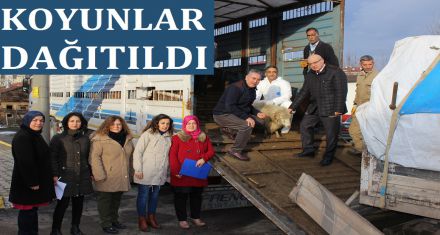 KOYUNLARINI ALDILAR
