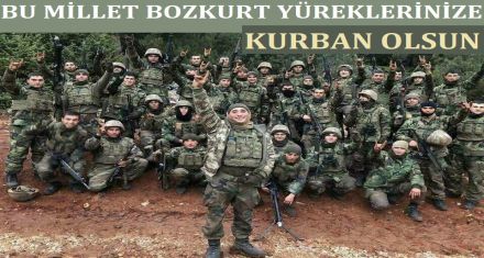 BÜYÜK TÜRK MİLLETİ BOZKURT YÜREKLERİNİZE KURBAN OLSUN