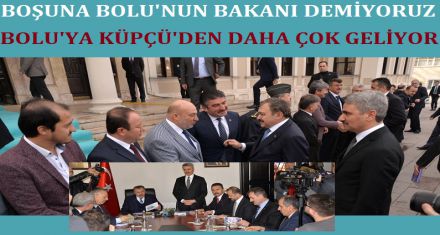 BOŞUNA BOLU'NUN BAKANI DEMİYORUZ