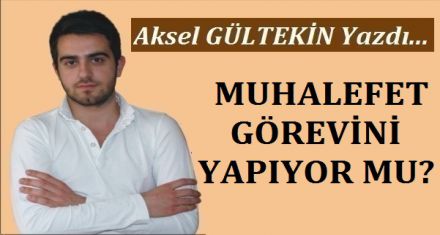 MUHALEFET GÖREVİNİ YAPIYOR MU?