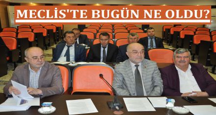 MECLİS'TE BUGÜN NE OLDU?