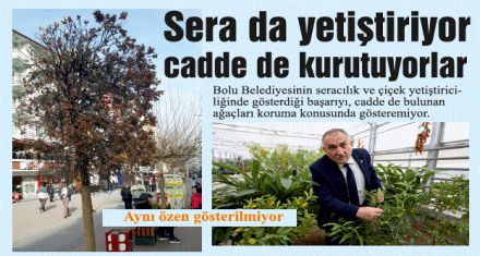 Sera da yetiştiriyor cadde de kurutuyorlar