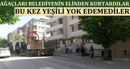 VATANDAŞLAR AĞAÇLARI BELEDİYENİN ELİNDEN KURTARDI