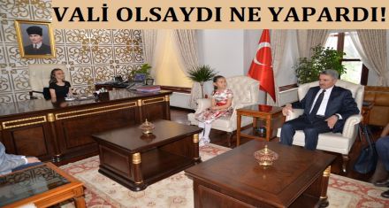 VALİ OLSAYDI NE YAPARDI?