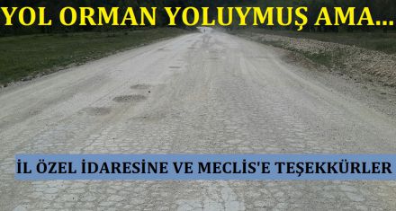 YOL ORMAN YOLUYMUŞ AMA…