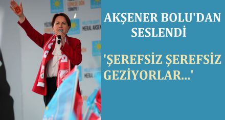 AKŞENER BOLUDAN SESLENDİ; ‘ŞEREFSİZ ŞEREFSİZ GEZİYORLAR'