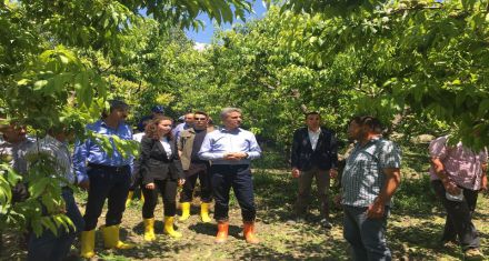 VALİ BARUŞ YERİNDE İNCELEDİ 