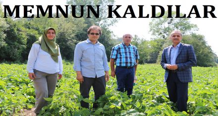 Ürün gelişimi memnun etti 