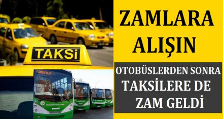 ZAMLARA ALIŞIN 