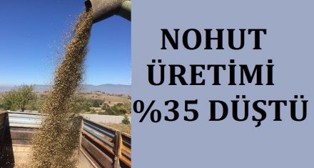 NOHUT ÜRETİMİ %35 DÜŞTÜ 