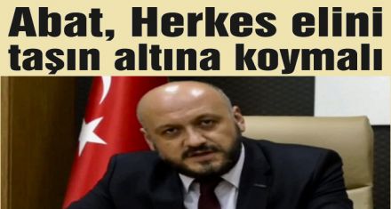 Herkes elini taşın altına koymalı 