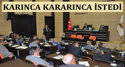 KARINCA KARARINCA İSTEDİ