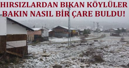 HIRSIZLAR KÖYLÜLERİ BIKTIRDI