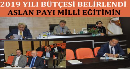 2019 BÜTÇESİ AÇIKLANDI 