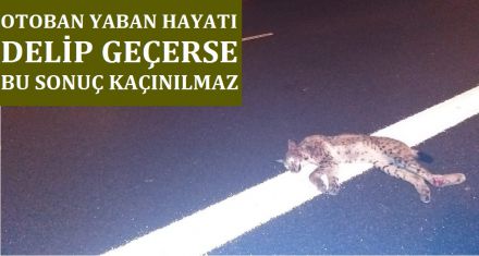 OTOBANDAN GEÇMEK ZORUNDA KALIYORLAR