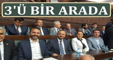 3'Ü BİR ARADA!