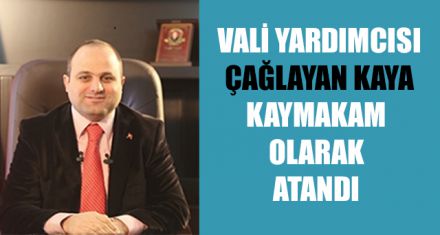 VALİ YARDIMCISI KAYA KAYMAKAM OLARAK ATANDI