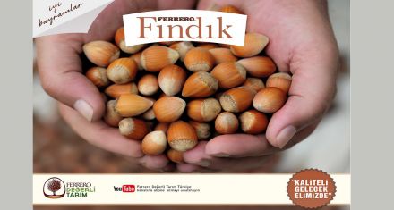 Ferrero Fındık