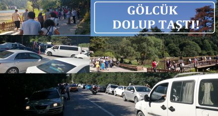 GÖLCÜK DOLUP TAŞTI