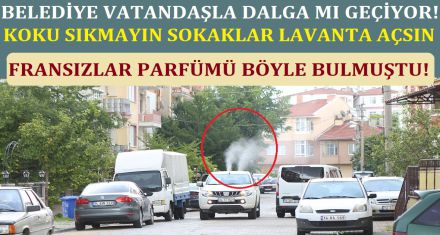 LAVANTA KOKUSU SIKMAYIN  SOKAKLAR LAVANTA AÇSIN!